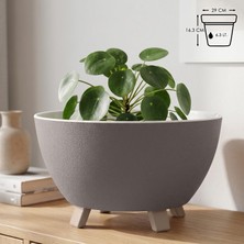 Odea Tr Sora Saksı Süzgeçli Ayaklı Delikli Plastik Aranjman Sukulent Saksısı (Kahve, 6.3 Litre)