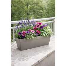 Odea Tr Askılı Yalı Balkon Saksı 10.8 Litre Mokka Renk