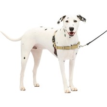 Odea Tr Easy Walk No-Pull Köpek Koşum Takımı - Çekmeyi Durdurmaya Yardımcı Olacak Nihai Koşum Takımı - Kontrolü Ele Alın ve Daha Iyi Tasma Davranışlarını Öğretin - Evcil Hayvanların Yürüyüşlerde