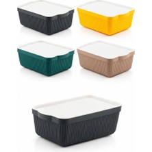 Odea Tr 4515 Mix Still Box 4'lü Kapaklı Saklama Kabı Seti 3 Litre – Çok Amaçlı Renkli Kiler, Buzdolabı ve Dolap Içi Organizer Kutusu