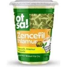 Odea Tr Zencefil ve Ihlamur Harmanlı Bitkisel Destek Çayı – 170 G