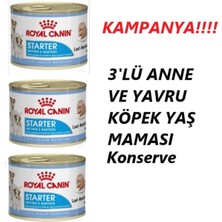 Odea Tr 3 Lü Anne ve Yavru Için Konserve Yaş Köpek Maması