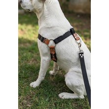 Odea Tr Köpek Göğüs Tasması Ayarlanabilir Büyük Irk Ön ve Arka Çekmeli Kolon Kordon Siyah