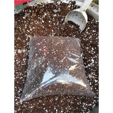 Odea Tr Kaktüs Topragı Çok Özel Kaışım Garanti Içeriktir Taş Kaktüs Lithops Aloe Vera 4 Litre