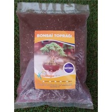 Odea Tr Bonsai Toprağı 2,5 Lt Ithal Torf Perlit Kırmızı Pomza Lav Taşı Karışımlı Özel Bonsai Toprak