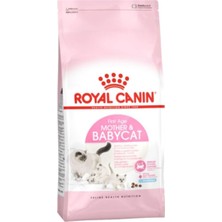 Odea Tr Yavru Kedi Maması 2 kg