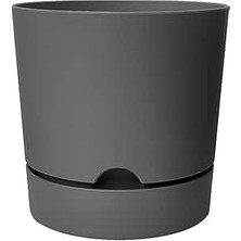 Odea Tr 4 Adet Begonya Saksı Tabaklı Drenajlı Mat Plastik Çiçek Saksısı (Gri, 1.8 Litre)
