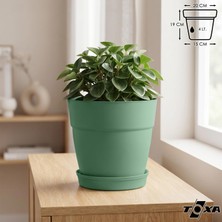 Odea Tr Tabaklı Delikli Plastik Çiçek Saksısı, 20 cm 4 Lt, 1 Adet, Yeşil