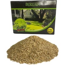 Odea Tr Beready 6 Karışımlı Çim Tohumu, 1 kg