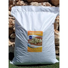 Odea Tr Asenya Renkli Çakıl Taşı 1 kg 1-2 cm Siyah Beyaz Saksı Dibi Taşı Teraryum Vazo Dibi Dekoratif Dolomit Taş