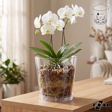 Odea Tr Tabaklı Orkide Saksısı, 1.6 Lt 13 Cm, Şeffaf Kristal Plastik