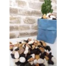Odea Tr Asenya Renkli Çakıl Taşı 2 kg 1-2 cm Saksı Dibi Teraryum Saksı Süs Vazo Dibi Dekoratif Dolomit Taş