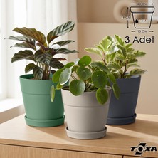 Odea Tr Tabaklı Delikli Plastik Çiçek Saksısı, 20 cm 4 Lt, 3 Adet, Karışık
