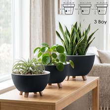 Odea Tr Sora Saksı Süzgeçli Ayaklı Delikli Plastik Aranjman Sukulent Saksısı (Antrasit, 3 Boy)