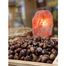 Yurdum Yöresel Düzce Kuzu Kestane 500GR