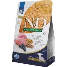 Odea Tr Ancestral Grain Kuru Köpek Maması, Kuzu, Kılçıksız Buğday, Yulaf ve Yabanmersinli, Yavru Köpek Mini, 2.5 kg