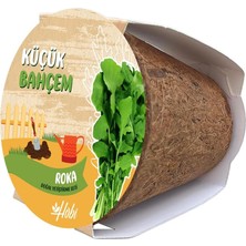 Odea Tr Küçük Bahçem Roka Tohumu Yetiştirme Seti