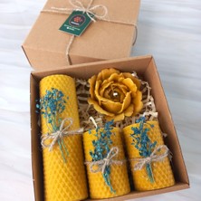 Balmumu Mum Dekoratif Hediye Kutusu 4 Lü Set Doğal Petek Beeswax Candle Açmış Gül (Mavi Süslemeli Aç