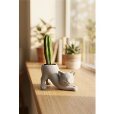 GIFT MALL Esneyen Kedi Şeklinde Dekoratif Kaktüs ve Sukulent Saksısı - Modern Tasarım Biblo Obje