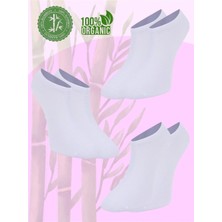 GIFT MALL %100 Gerçek Bambu Kadın Patik Çorap Dikişsiz 3'lü