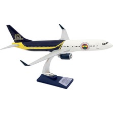 Tr Upp Boeing 737-800 1/100 Ölçek Fenerbahçe Lisanslı Tasarım Maket Uçak