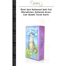 Özel Seri Kehanet Seti Fal Meraklıları Gelecek Aracı Cat (Kedi) Tarot Kartı