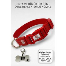 Tr Reflektörlü Köpek Tasması, Kişiye Özel Köpek Tasması. Büyük Ive Orta Irk Köpek Tasması