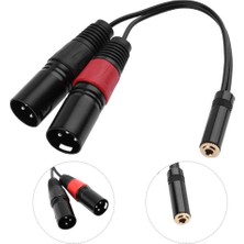 Happy Trend 3.5 mm Stereo Dişi-2 Xlr Erkek Kablo 20 cm