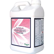 Tr Nutrıplus N-P Zinc 3-40-0 Azot Fosforlu Çinko Içerikli Sıvı Gübre Çiçeklendirici 10 Litre