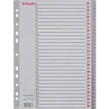 Esselte 1-31 Rakamlı Separatör, A4, Gri, 100108