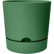 aklow akyoleticaret Begonya Saksı Tabaklı Drenajlı Mat Plastik Çiçek Saksısı (1 Adet, 3,3 L, 18 Cm, Yeşil)