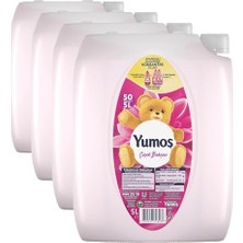 aklow akyoleticaret Yumuşatıcı, Çiçek Bahçesi, 50 Yıkama 5 L (4 Paketi)