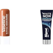 aklow akyoleticaret Lip Therapy Dudak Bakım Kremi Cocoa Butter 4.8 G + Signal White Now Diş Macunu Lekesiz Beyazlık Etkili Leke Giderme 75 ml