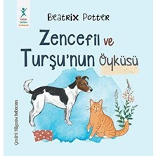 TeknoKapsül Zencefil ve Turşu`nun Öyküsü