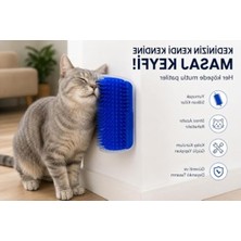 Rafta Kedi Kaşınma Aparatı