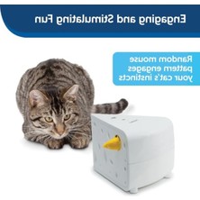 Rafta Etkileşimli Oyun Oyuncağı, Peynir Temalı, Kedi Için