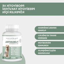 Rafta Probiyotik ve Prebiyotik Destek, 60 Tablet, Sağlıklı Sindirim Için
