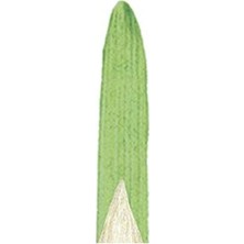 Rafta Yuvarlak Fırça No.3-4, 2 Mm, Yağlı Boya ve Akrilik Için