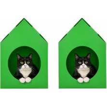 Rafta Katlanır Plastik Kedi Evi, Sokak Hayvanları Için Yeşil Renkli Tasarım