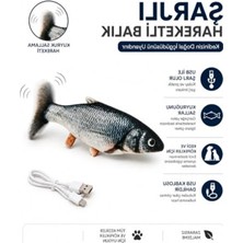 Rafta USB Şarjlı Kedi Oyuncağı, Hareketli Balık Interaktif Eğlence
