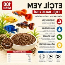 Rafta Etçil Akvaryum Balık Yemi, 500-800 Micron, Yüksek Protein