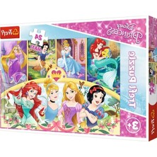 Rafta Disney Prensesi Temalı Bulmaca, 24 Maksi Parça Eğlenceli Oyun