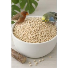 Rafta Mısır Koçanı Granülü - 10 kg Kuş Kafesi Altlığı