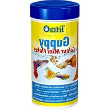 Rafta Guppy Color, Birinci Sınıf Pul Gıda 250ML