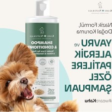 Rafta Hipoalerjenik Kedi ve Köpek Şampuanı 250 ml - Hassas Ciltler Için