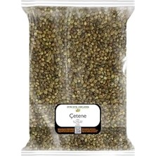 Rafta Çetene 500 gr Kenevir Tohumu Cedene Kendir Kuş Yemi