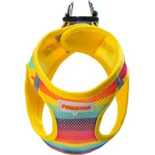 Rafta Air-Mesh Rainbow Köpek Göğüs Tasması (Xs)