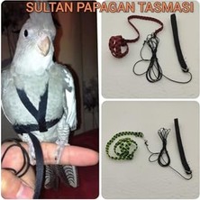 Rafta Sultan Papağanı Tasması Özel Patentli Kuşu Koruyan Tasarım