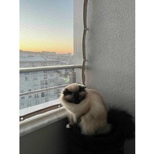 Rafta Kuş Filesi 2,5x4 M Balkon Filesi Kedi Filesi Koruma Filesi Dolu Filesi Misina File Kuş Önleme Filesi