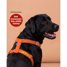 Rafta Güvenlik Amaçlı Numaralı Isimli Köpek Göğüs Tasması Kişiye Özel Göğüs Tasması I Küçük ve Orta Irk Köpekler I Renk Seçenekli (Turuncu, L)